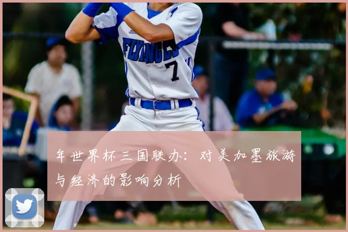 年世界杯三国联办：对美加墨旅游与经济的影响分析