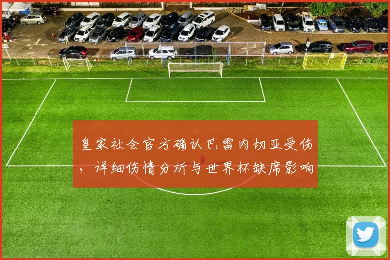 皇家社会官方确认巴雷内切亚受伤,详细伤情分析与世界杯缺席影响解读