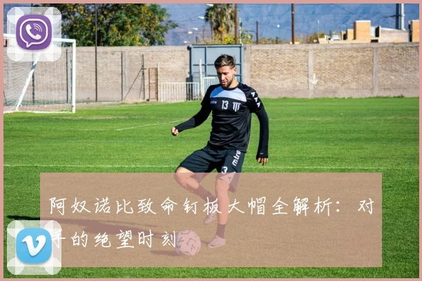 阿奴诺比致命钉板大帽全解析:对手的绝望时刻